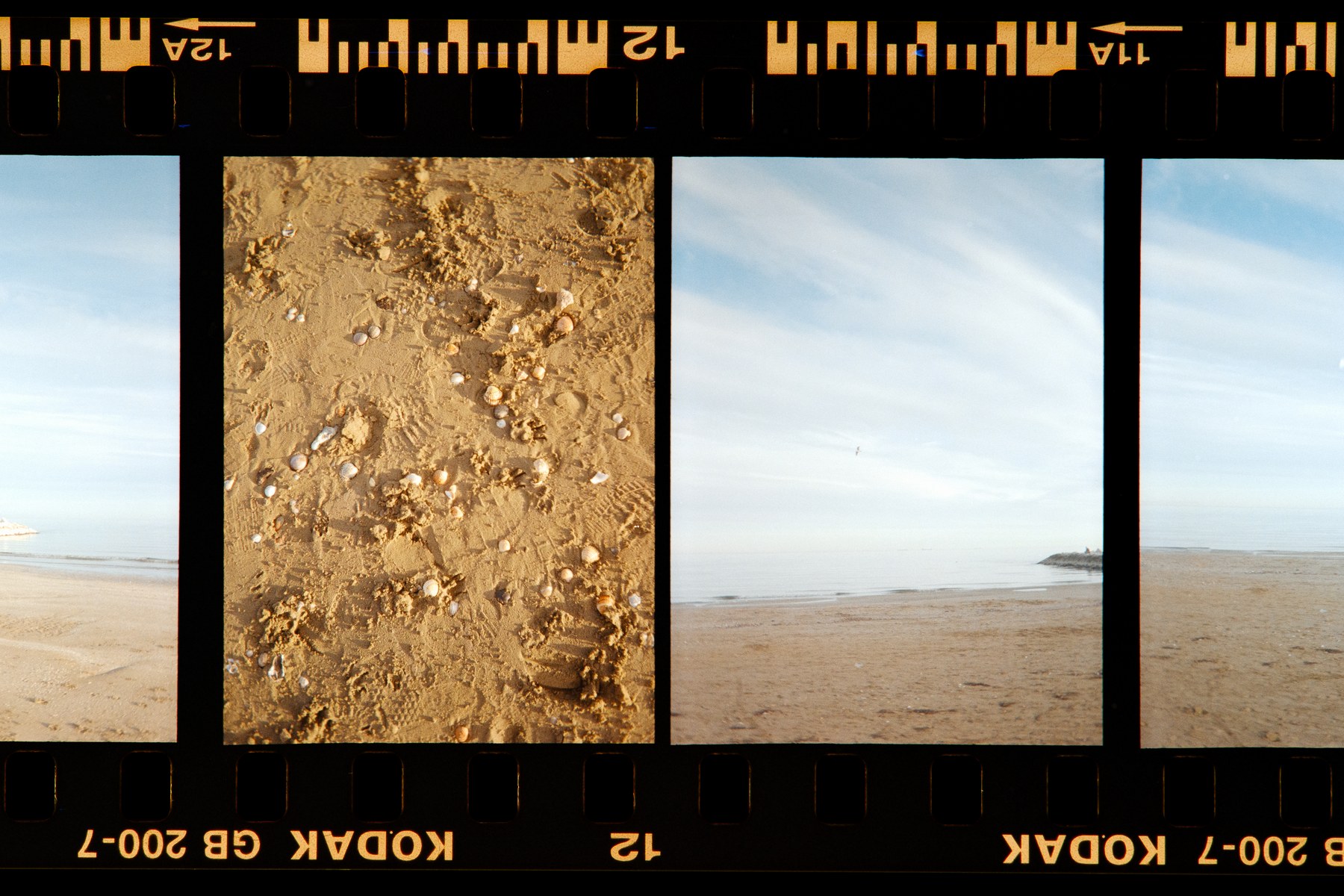 Kodak Gold 200 Half-Frame